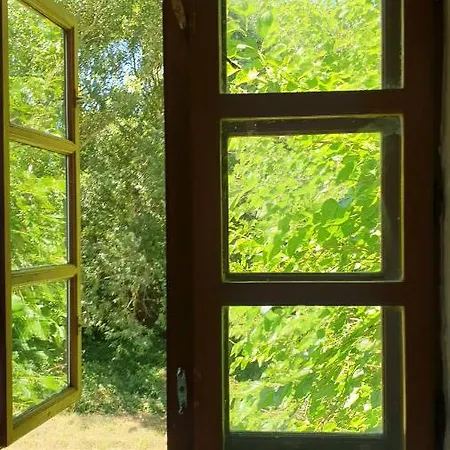 Lesence Major 4* Lesencetomaj