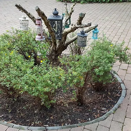 Bed and breakfast Lesence Major 4*