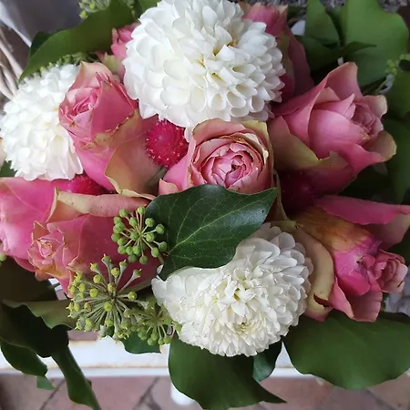 Lesence Major Bed and breakfast Lesencetomaj