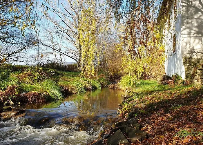 Bed & Breakfast Lesence Major 4*