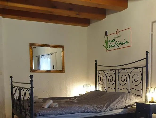 Bed & Breakfast Lesence Major