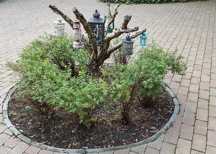 Bed & Breakfast Lesence Major 4*