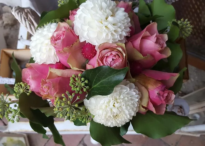 Lesence Major Bed & Breakfast Lesencetomaj